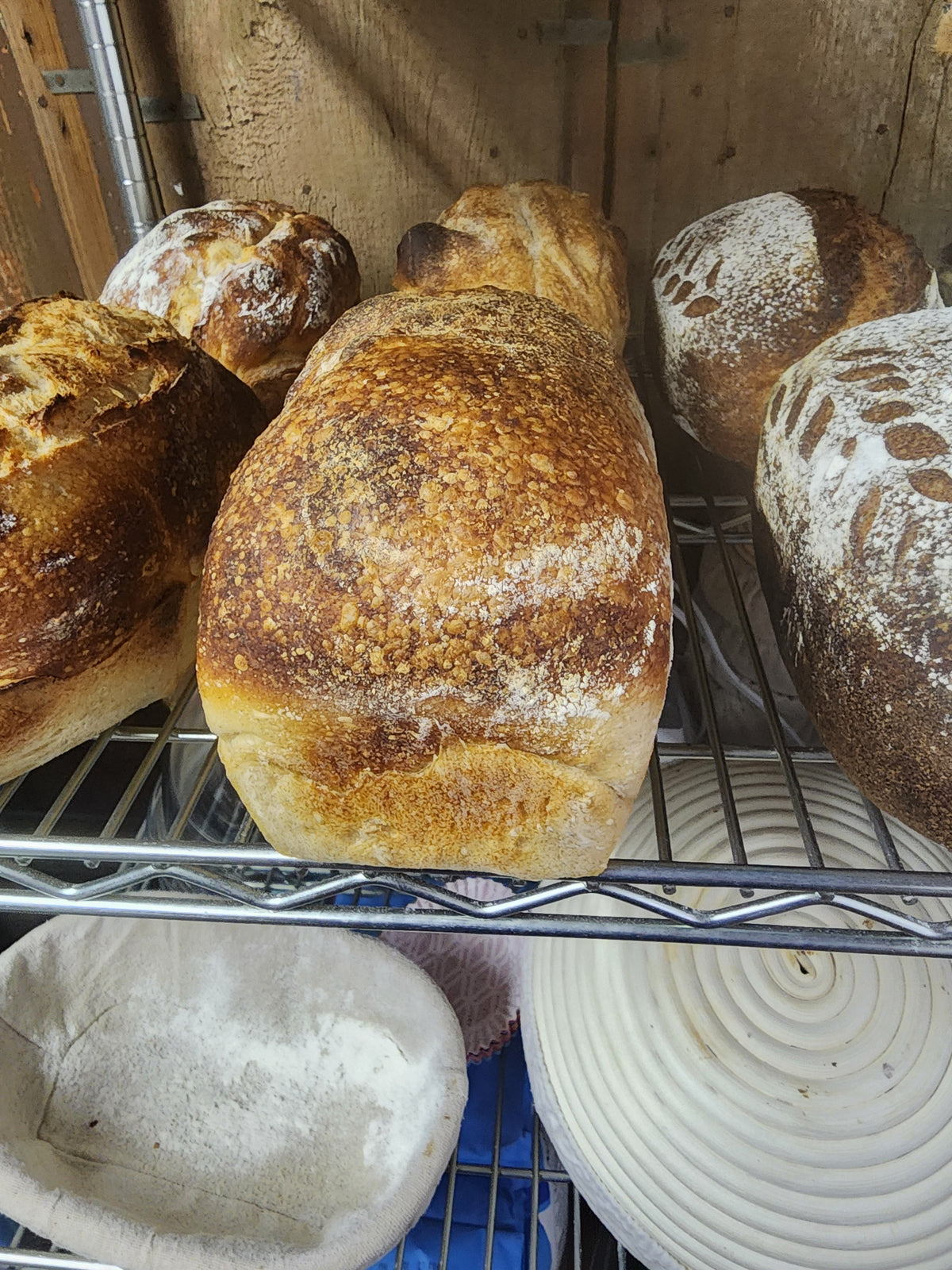 Sandwich Breads