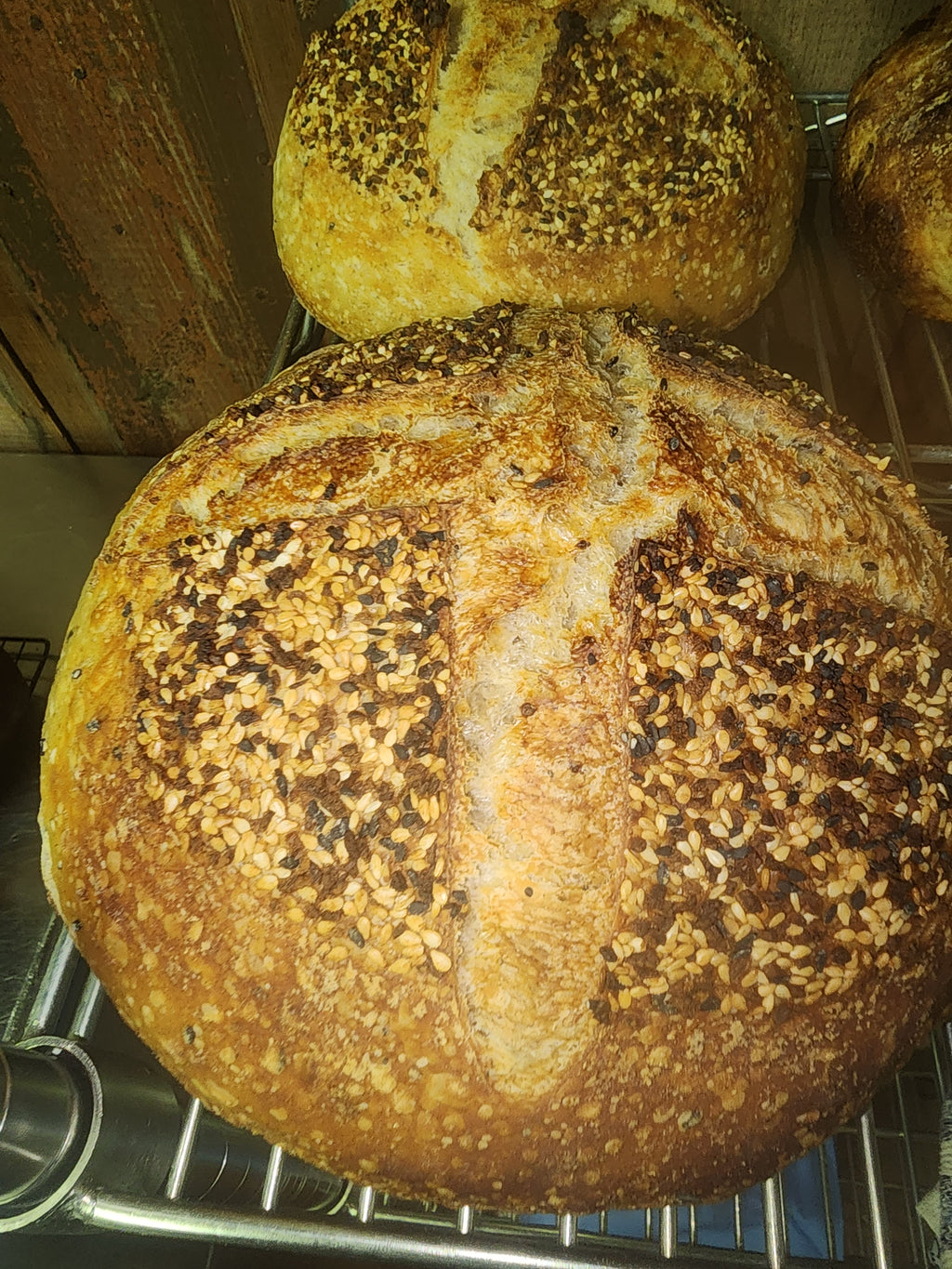 Everything Seasoned Sourdough