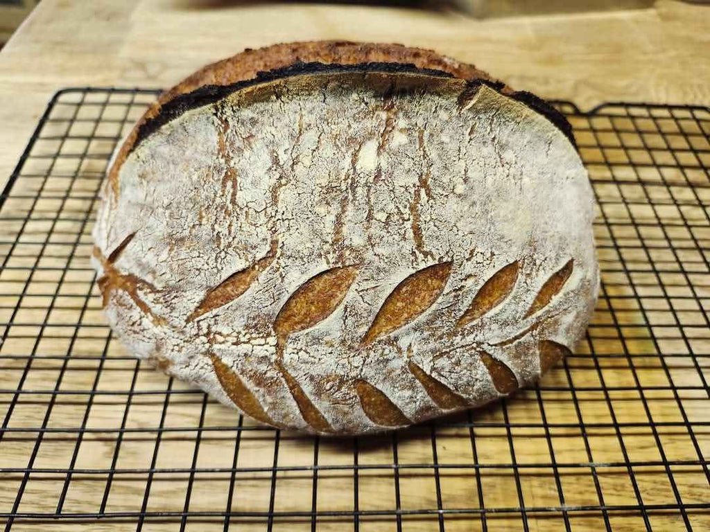 Rustic Honey Wheat Sourdough