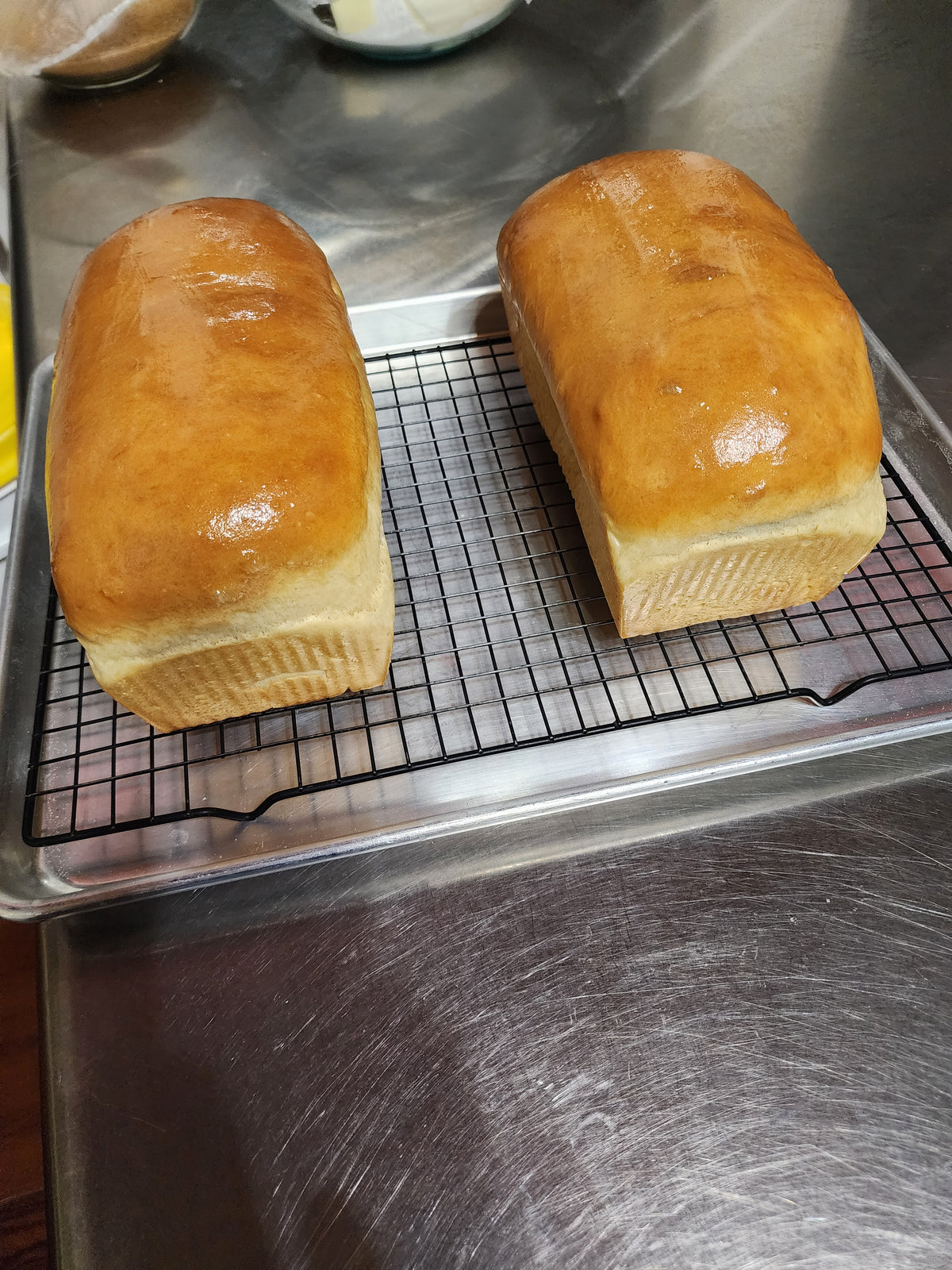 Classic Sandwich Bread