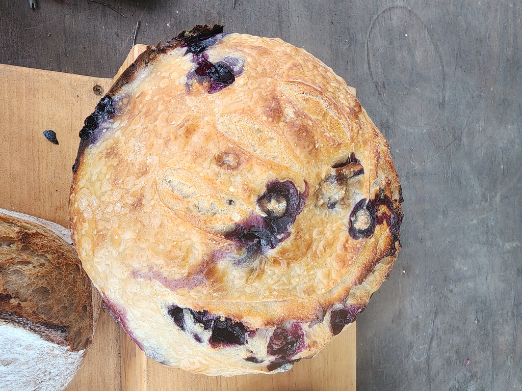 Fresh Blueberry and Lemon Sourdough