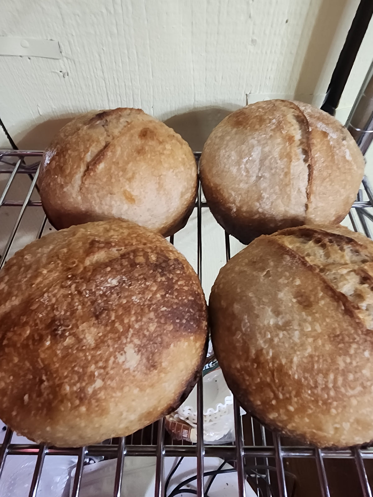 Rustic Honey Wheat Sourdough Bread Bowls