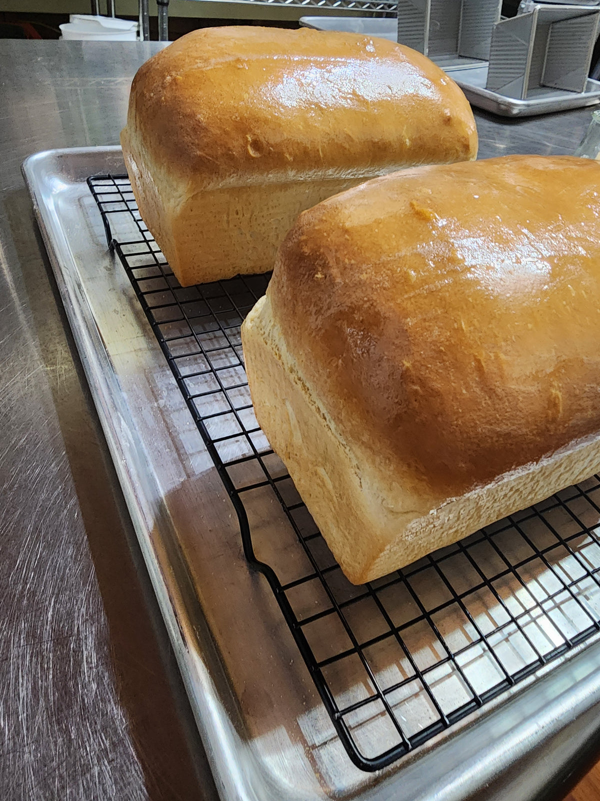 Classic Sandwich Bread